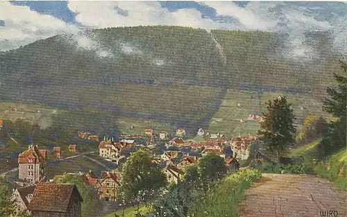 Bad Wildbad Rennbachtal Künstler-AK ngl 133.533