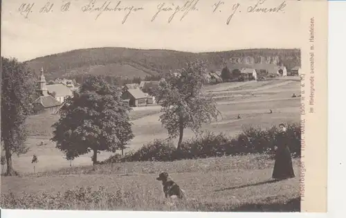 Finsterbergen/Thür. Wald Panorama gl1910 96.066