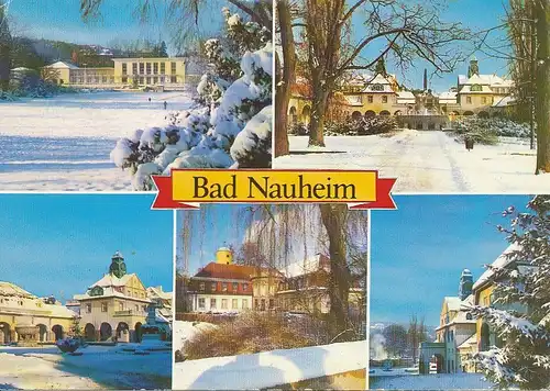 Bad Nauheim Kurpark im Winter gl1985 130.400