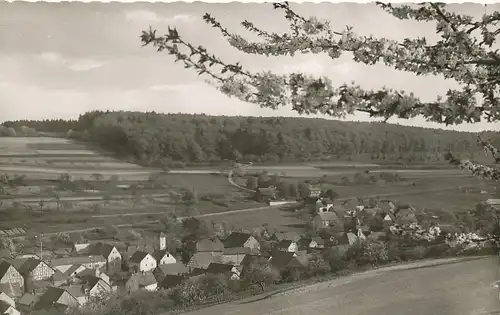 Riedelbach im Taunus Panorama gl1955 130.456