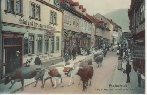 Friedrichroda/Th. Hauptstraße Kuhherde gl1910 96.110