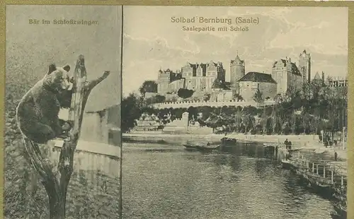 Bernburg (Saale) Herzogl. Schloss / Bär gl1925 125.144