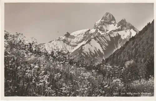 Trettachspitze am Weg nach Gruben ngl B7460