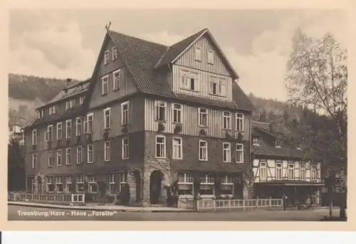 Treseburg/Harz Haus Forelle ngl 95.719