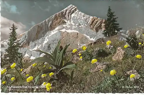 Frühling am Kreuzeck mit Albspitze ngl C1061