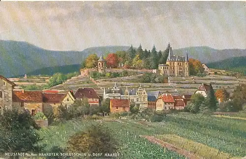 Neustadt-Haardt Panorama mit Schloss ngl 131.683