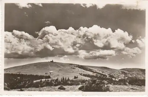 Schwarzwald Feldbergmassiv u.Wilhelmshütte ngl B8008