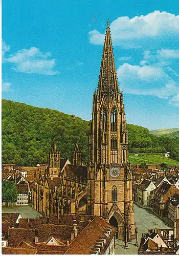 Freiburg i.Br. Münster ngl C1109