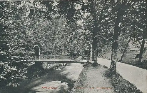 Bad Wildbad Partie in den Kuranlagen gl1913 133.559