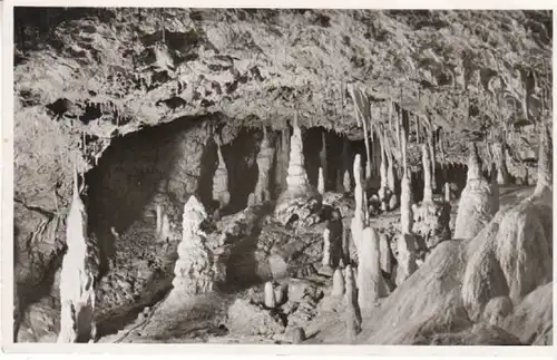 Bärenhöhle-Karlshöhle b.Erpfingen Schw.Alb ngl B8158