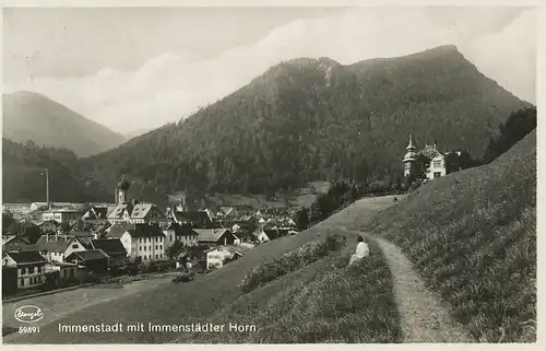 Immenstadt Panorama m. Immenstädter Horn gl1930 126.238