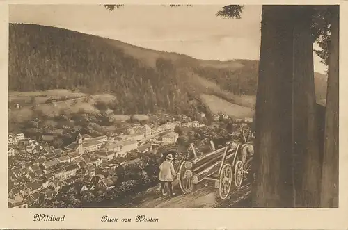 Bad Wildbad Blick von Westen feldpgl1917 133.535