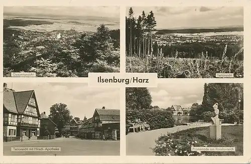 Ilsenburg (Harz) Total und Teilansichten gl1959 125.095