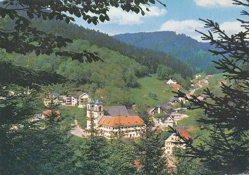 Bad Rippoldsau-Schapbach Panorama ngl 133.093