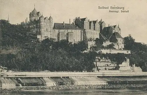 Bernburg (Saale) Herzogl. Schloss gl1917 125.142