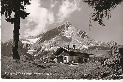 Kreuzalm gegen Albspitze /Garmisch-Partenk gl1961 C1055