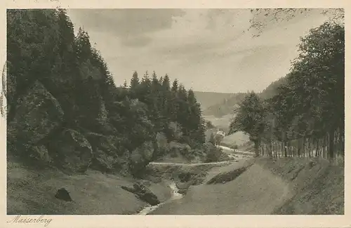 Masserberg Partie am Bibergrund gl1933 125.265