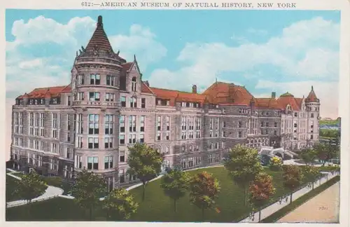 New York Museum of Natural History ngl 204.582