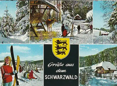 Grüsse aus dem Schwarzwald im Schnee gl1972 B8315