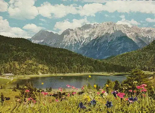 Alpenblumen am Bergsee ngl B8492