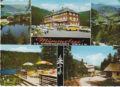 Mummelsee Schwarzwald Mehrbildkarte gl1967 C1444