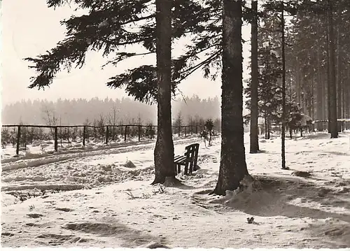 Freudenstadt Schwarzwald Im Parkwald gl1970? C1269