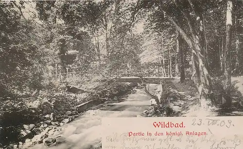 Bad Wildbad Partie in den kgl. Anlagen gl1903 133.666