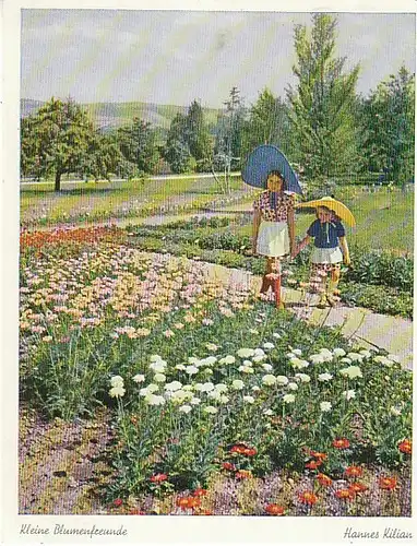 Zur Deutschen Gartenschau Stuttgart 1950 gl1951 C1720