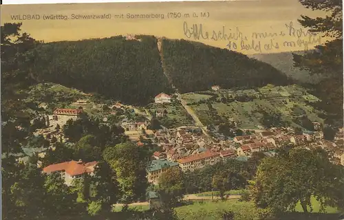 Bad Wildbad Sommerberg und Bergbahn gl1928 133.628