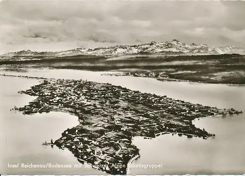 Insel Reichenau mit Schweizer Alpen gl1968 133.149