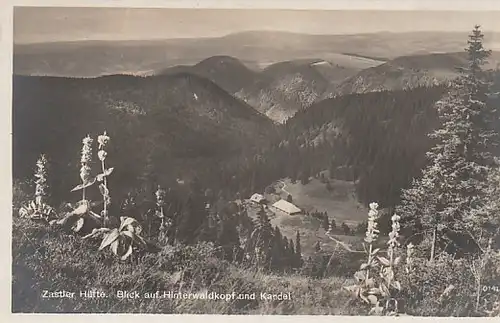 Zastler Hütte im Schwarzwald ngl B9101