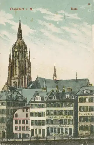 Frankfurt a.M. Dom gl1909 132.041