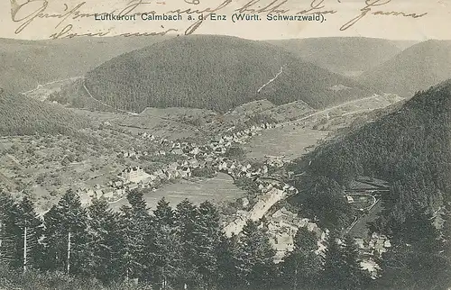 Bad Wildbad OT Calmbach Panorama gl1910 133.582