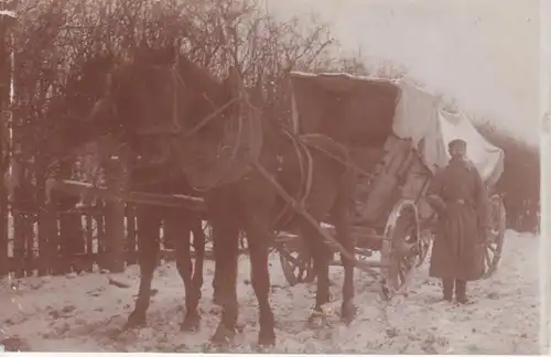 Pferde-Kutsche ngl 201.276