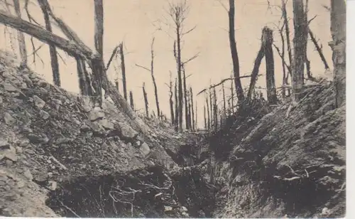 Herbstschlacht in der Champagne feldpgl1916 201.158