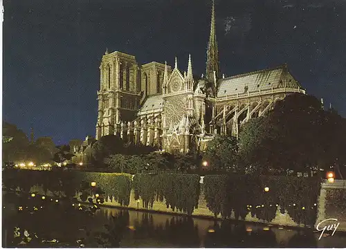 Paris La Cathédrale Notre-Dames illuminée ngl C0053