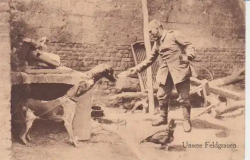 Unsere Feldgrauen feldpgl1915 201.294