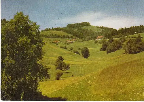 Neuenweg Schwarzwald Gasthof Haldenhof gl1982 C0179