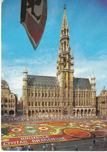 Brüssel Marktplatz Blumenteppich ngl C0058