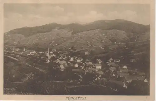 Bühlertal Panorama bahnpgl1917 206.570