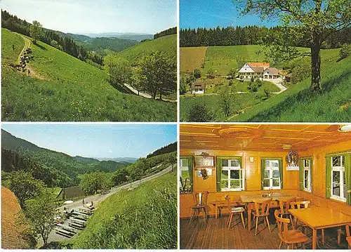 Oberharmersbach Schwarzwald Harkhof ngl C0180