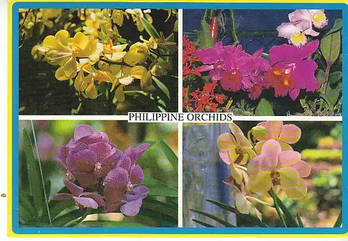 Philippine Orchids gl2000 C0340