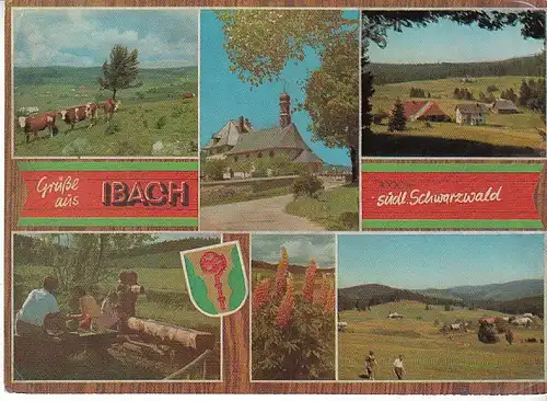 Ibach Schwarzwald Mehrbildkarte ngl C0622