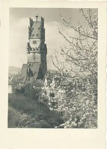 Freiburg im Blütenschmuck ngl 134.355