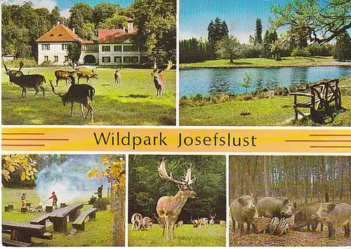 Wildpark Josefslust b.Sigmaringen Mehrbildk. ngl C0618