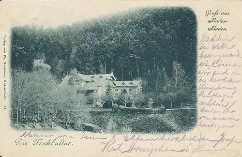 Baden-Baden Die Fischkultur gl1900 132.933