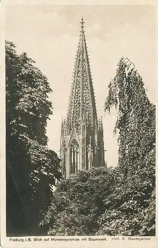 Freiburg Münsterpyramide mit Baumwerk ngl 134.522