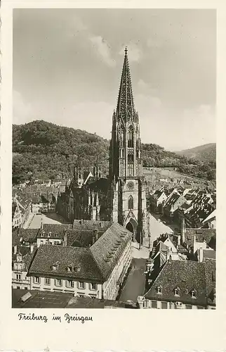 Freiburg Münster ngl 134.543