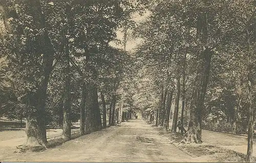 Baden-Baden Die Lichtenthaler Allee gl1912 132.991