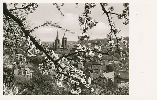 Neustadt a.d.W. Mandelblüte vor Stadt ngl 131.770